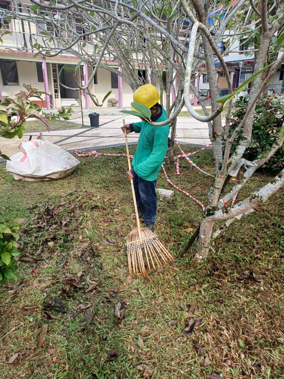 Garden Waste Removal